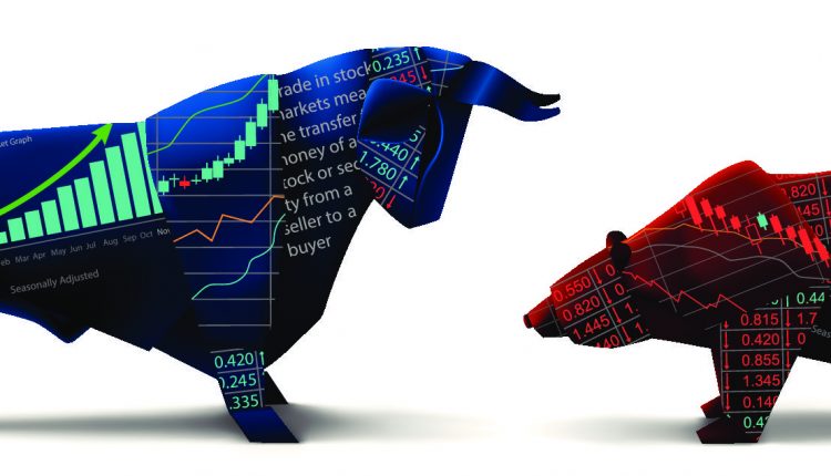 bull-bear-pdf