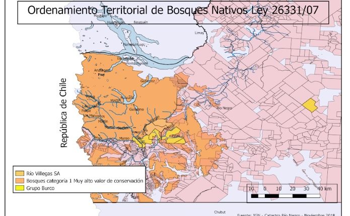 Bosques
