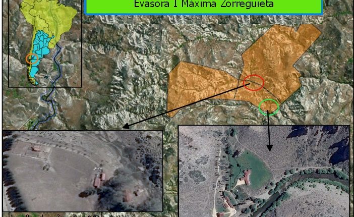 Evasora 1 Maxima