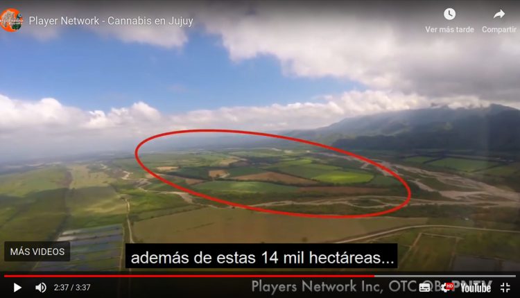 ademas de estas 14 mil ha