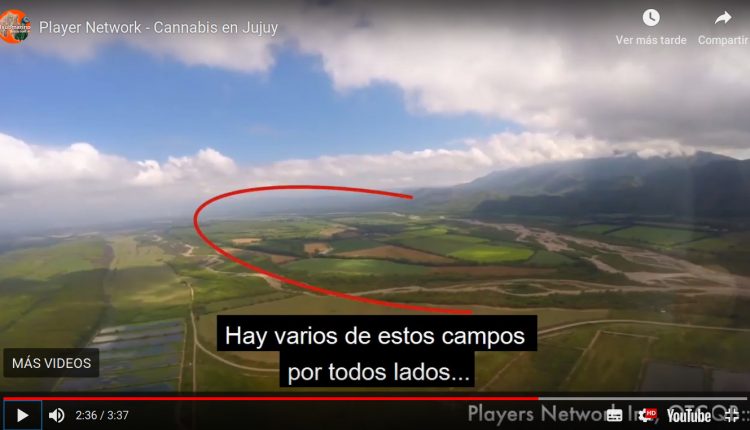 hay otros campos