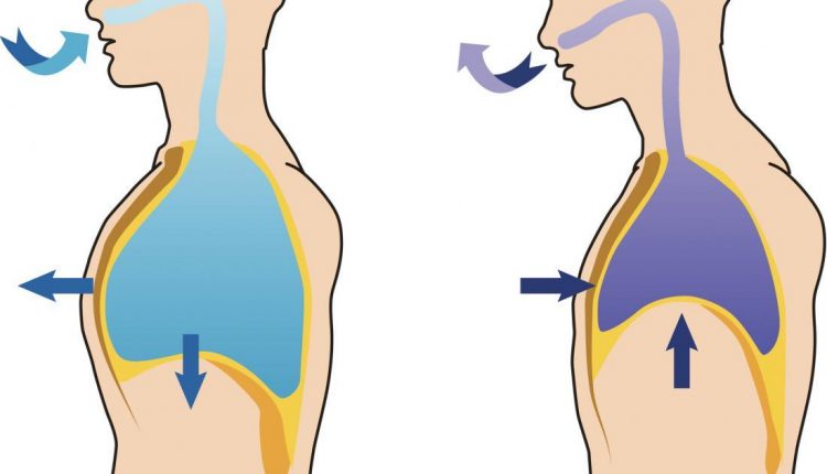 diagram-of-breathing-and-exhalation