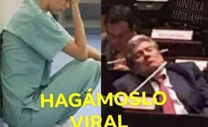 Medico diputado