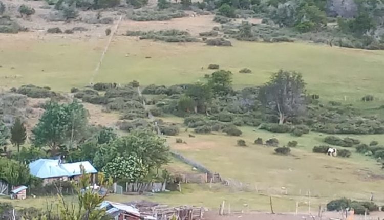 vista ruka Irma Cayunao