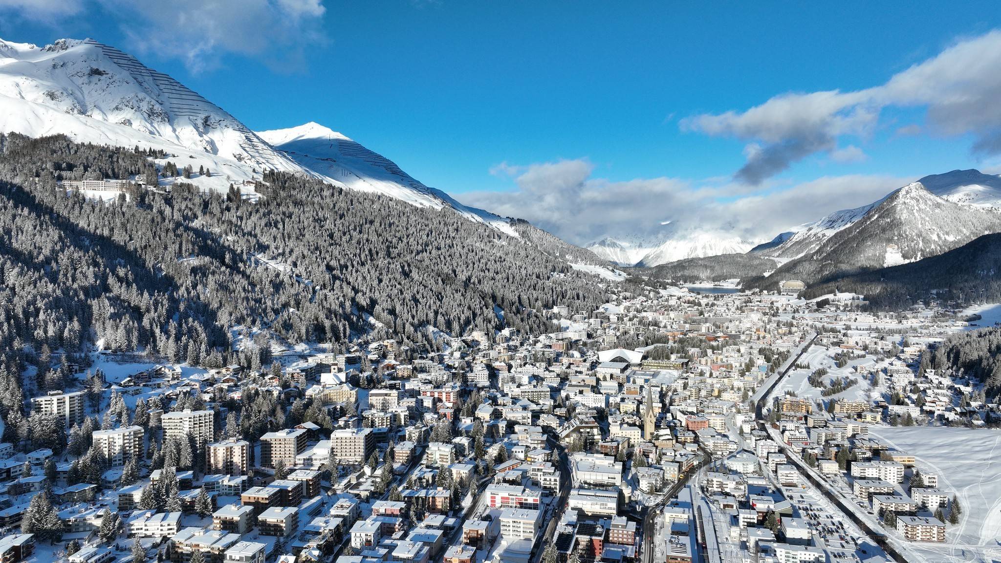 Davos deshuesado El Cohete a la Luna